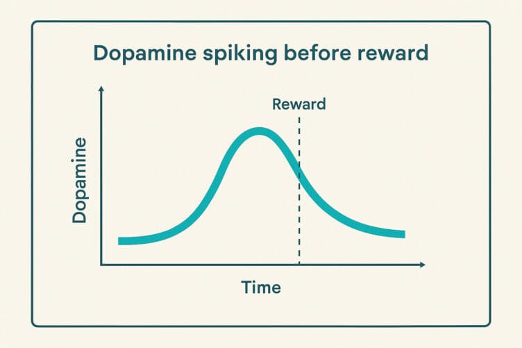 Graph showing dopamine spiking before reward